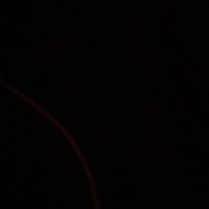 Meet your Posher, Janiya